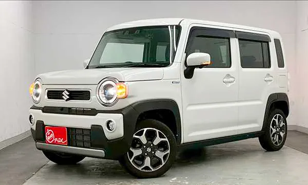 �X�Y�L�E�n�X���[