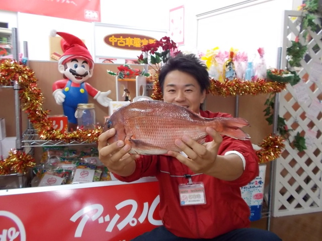 中古車販売 中古車買取 アップル