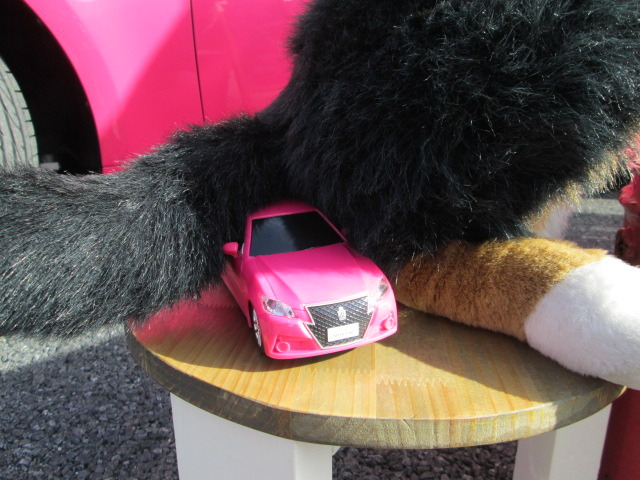 中古車販売 中古車買取 アップル