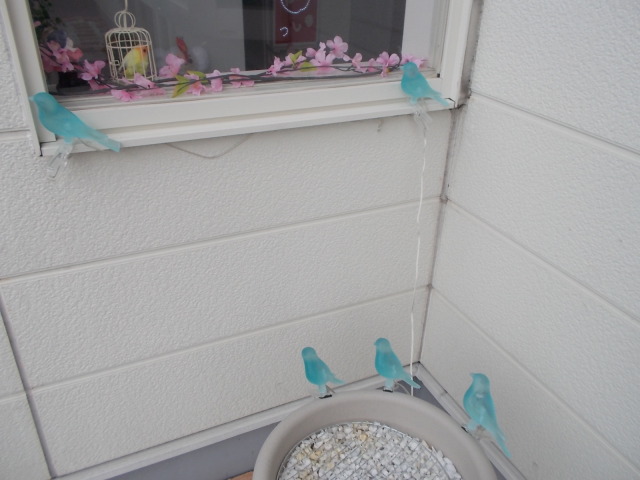 中古車販売 中古車買取 アップル