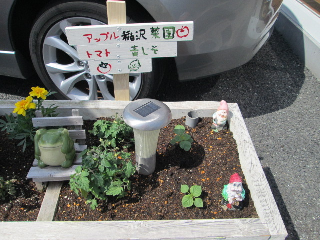 中古車販売 中古車買取 アップル