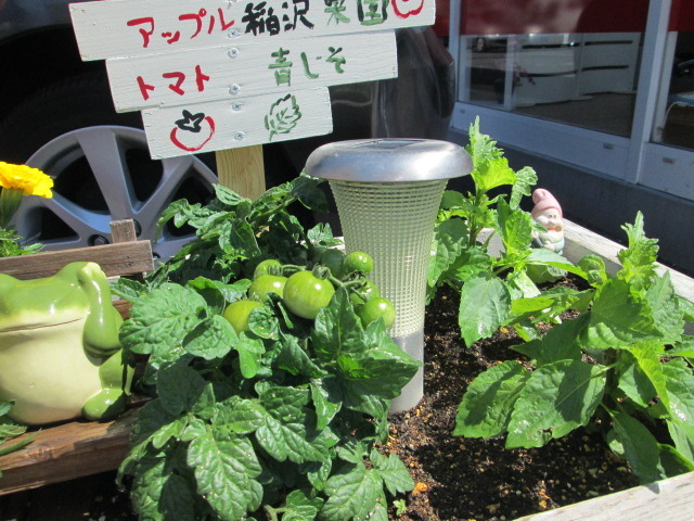 中古車販売 中古車買取 アップル