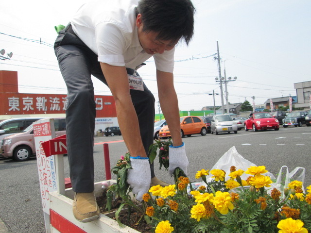 中古車販売 中古車買取 アップル