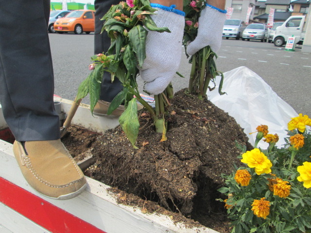 中古車販売 中古車買取 アップル