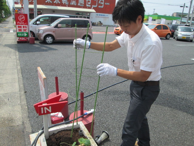 中古車販売 中古車買取 アップル
