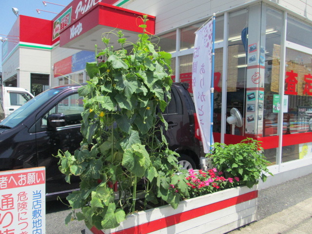 中古車販売 中古車買取 アップル