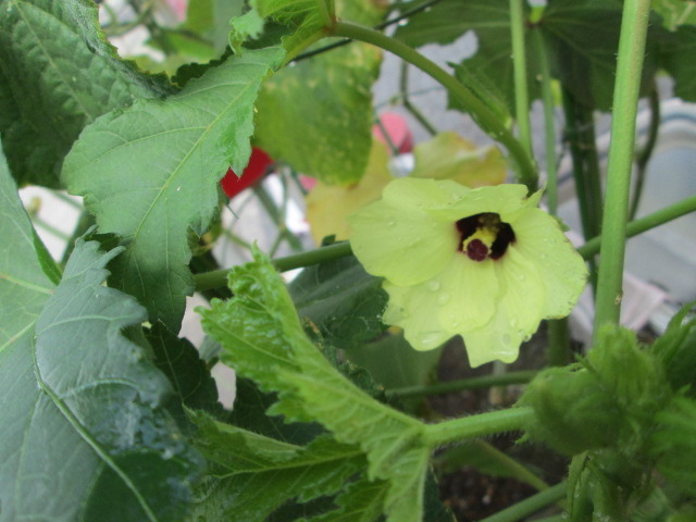 中古車販売 中古車買取 アップル