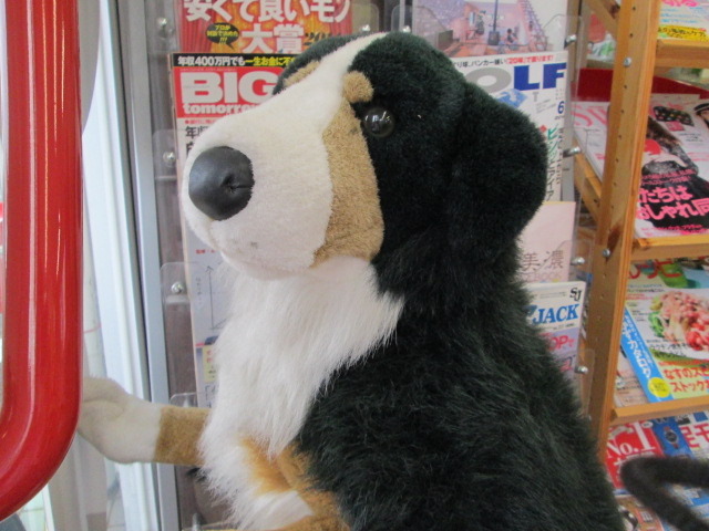 中古車販売 中古車買取 アップル