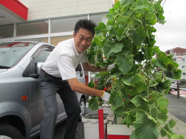 中古車販売 中古車買取 アップル