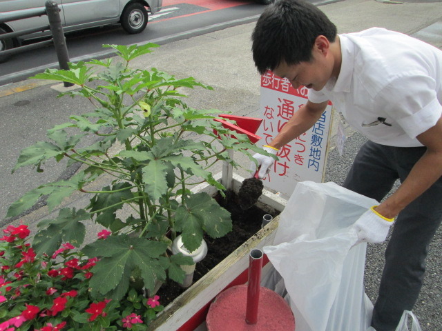 中古車販売 中古車買取 アップル