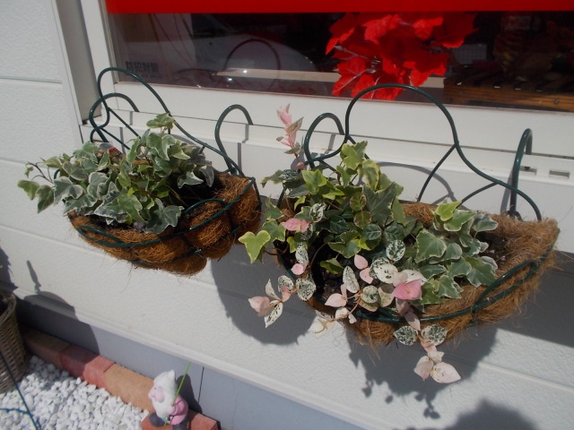 中古車販売 中古車買取 アップル