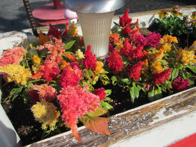 中古車販売 中古車買取 アップル