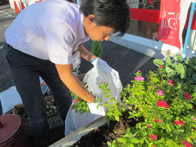 中古車販売 中古車買取 アップル