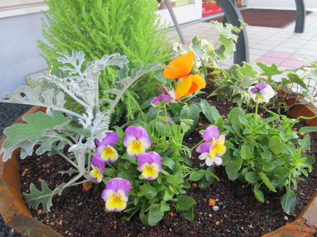 中古車販売 中古車買取 アップル