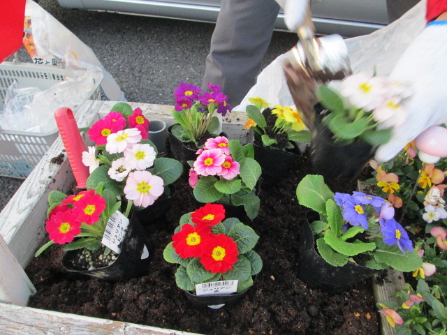 中古車販売 中古車買取 アップル