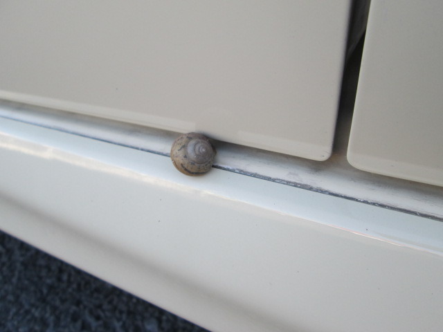 中古車販売 中古車買取 アップル