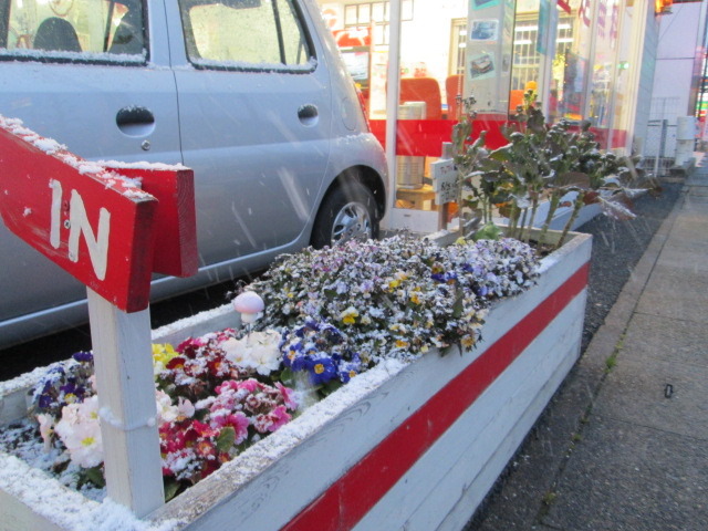 中古車販売 中古車買取 アップル