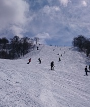 中古車販売 中古車買取 アップル