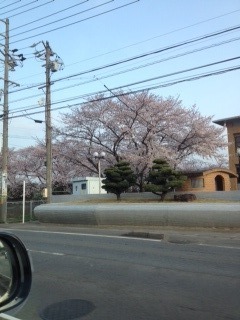 中古車販売 中古車買取 アップル