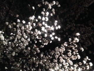 中古車販売 中古車買取 アップル