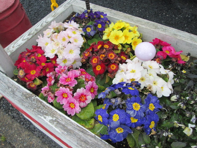 中古車販売 中古車買取 アップル