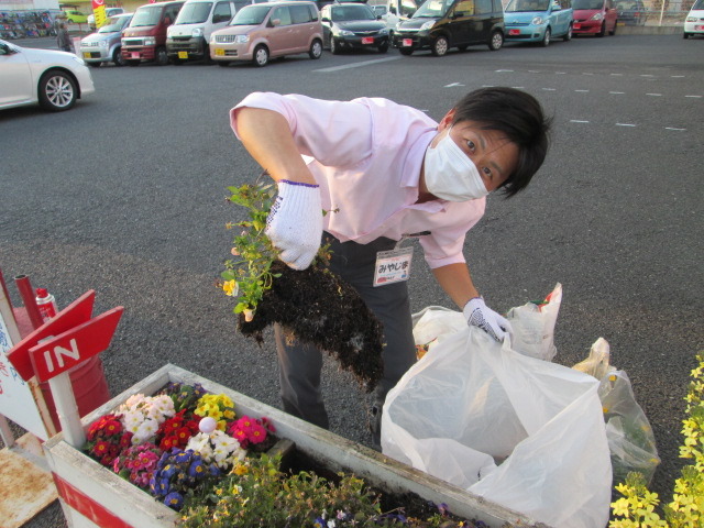 中古車販売 中古車買取 アップル