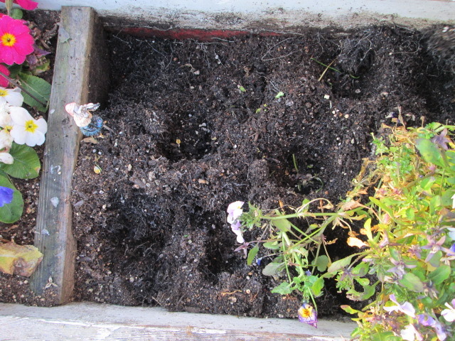 中古車販売 中古車買取 アップル