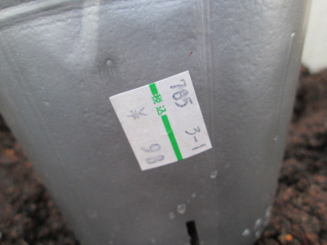 中古車販売 中古車買取 アップル