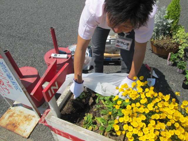 中古車販売 中古車買取 アップル