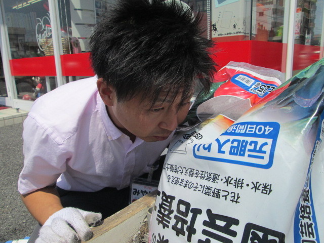 中古車販売 中古車買取 アップル