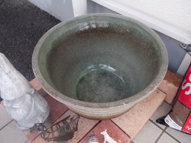 中古車販売 中古車買取 アップル