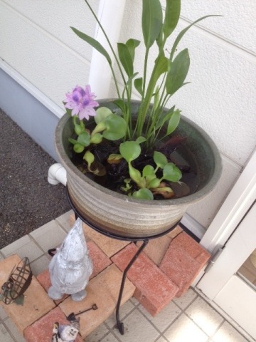 中古車販売 中古車買取 アップル