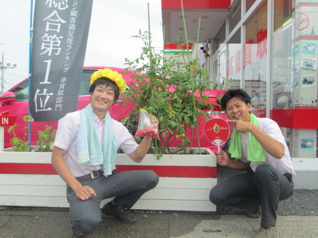 中古車販売 中古車買取 アップル