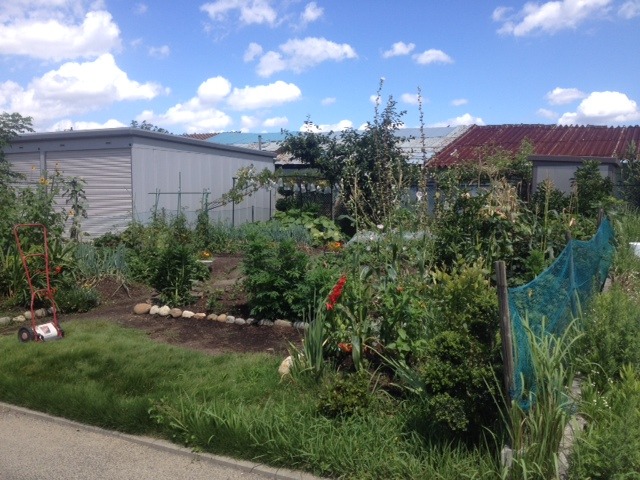 中古車販売 中古車買取 アップル