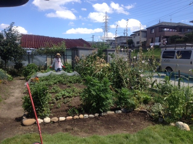 中古車販売 中古車買取 アップル