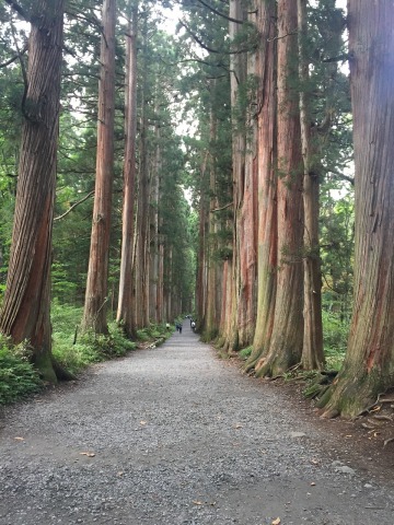 中古車販売 中古車買取 アップル