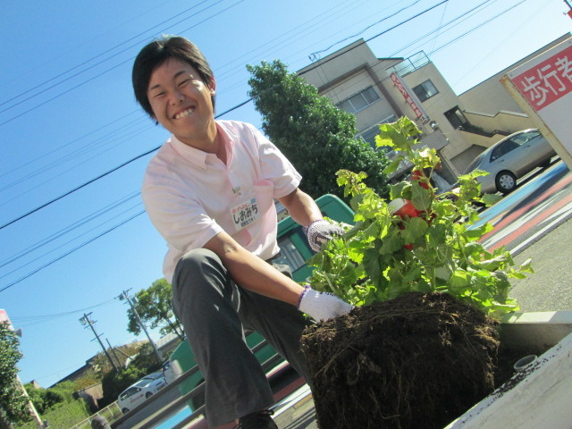 中古車販売 中古車買取 アップル