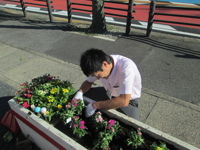 中古車販売 中古車買取 アップル