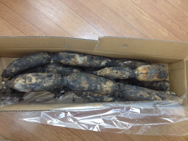 中古車販売 中古車買取 アップル