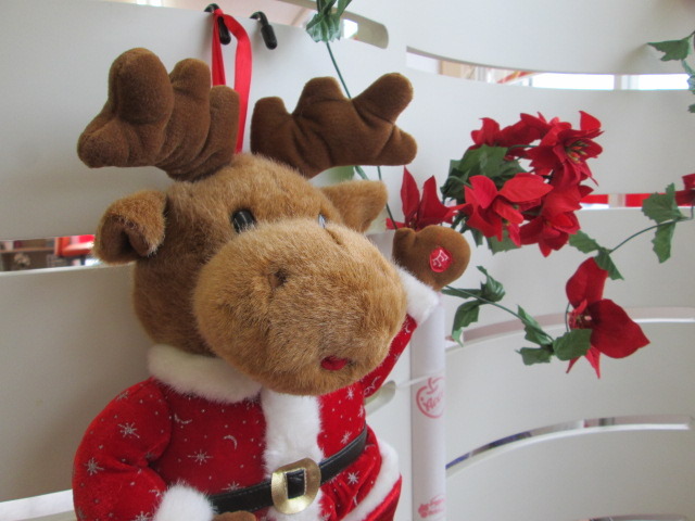 中古車販売 中古車買取 アップル