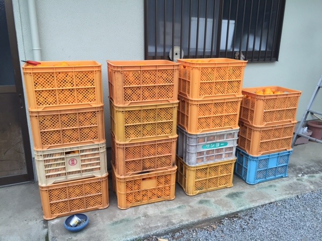 中古車販売 中古車買取 アップル