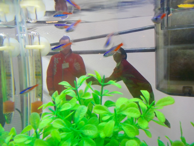 中古車販売 中古車買取 アップル