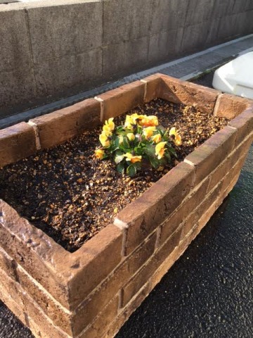 中古車販売 中古車買取 アップル