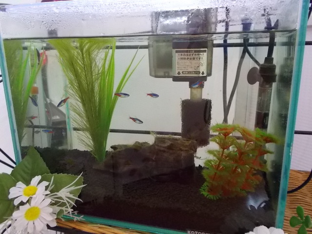 中古車販売 中古車買取 アップル