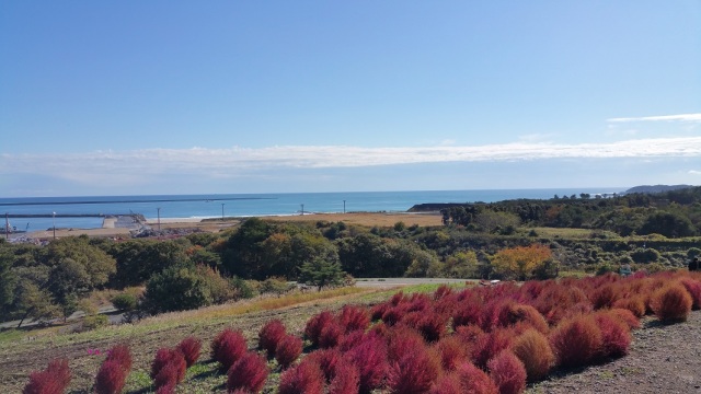 中古車販売 中古車買取 アップル