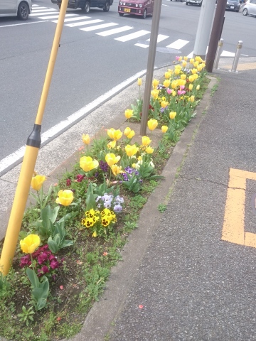 中古車販売 中古車買取 アップル