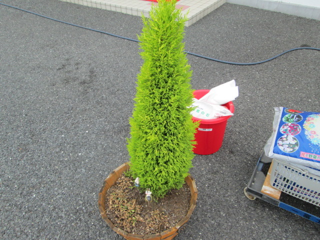 中古車販売 中古車買取 アップル