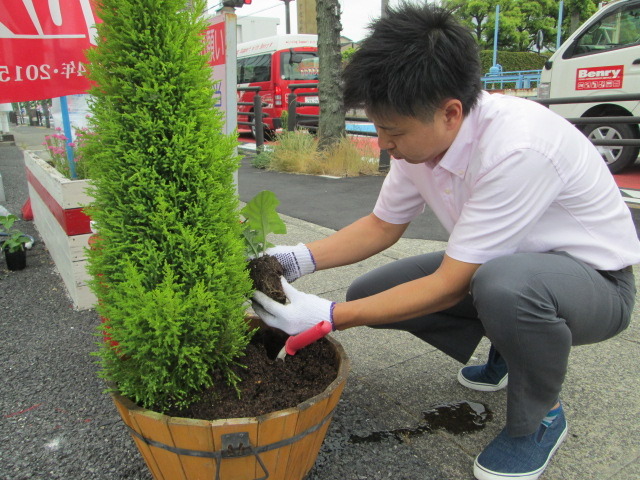 中古車販売 中古車買取 アップル