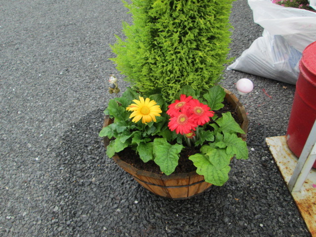 中古車販売 中古車買取 アップル