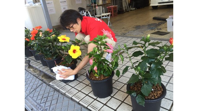 中古車販売 中古車買取 アップル